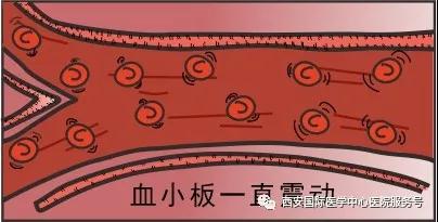 【科普】血小板是正常值的三倍？專家提醒小心血栓和出血！