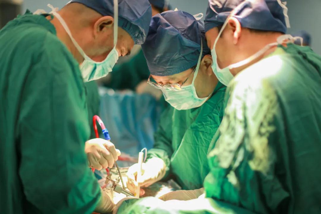 世界首例！我院骨科完成高難度、高科技3D打印可動(dòng)人工頸椎-椎間盤復(fù)合體植入術(shù)