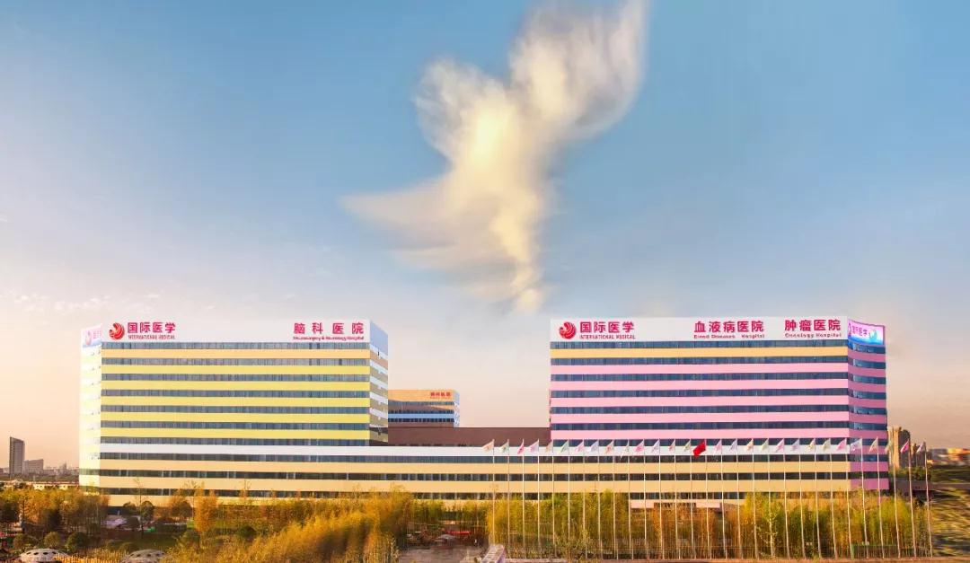 我院援鄂醫(yī)療隊榮獲陜西省抗擊新冠肺炎疫情先進集體 王海昌、韓新鵬、陳麗獲陜西省抗擊新冠肺炎疫情先進個人